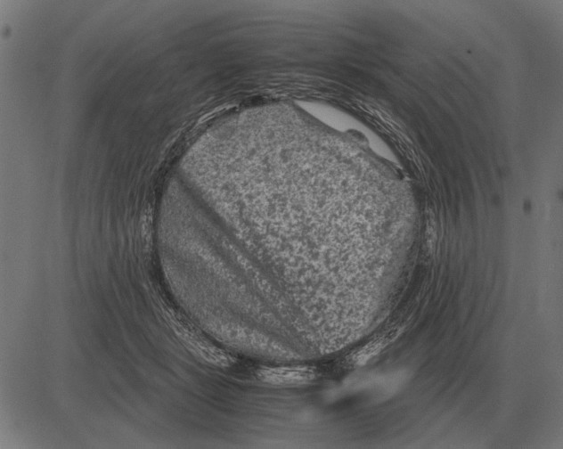 X0000081470461200702021836