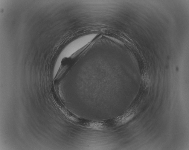 X0000081470462200702021836