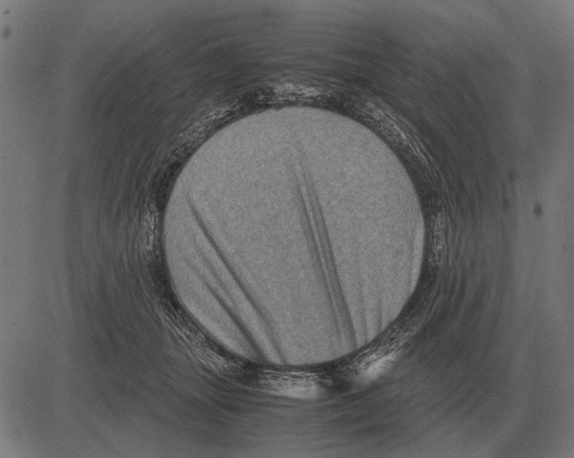 X0000081470463200702021837