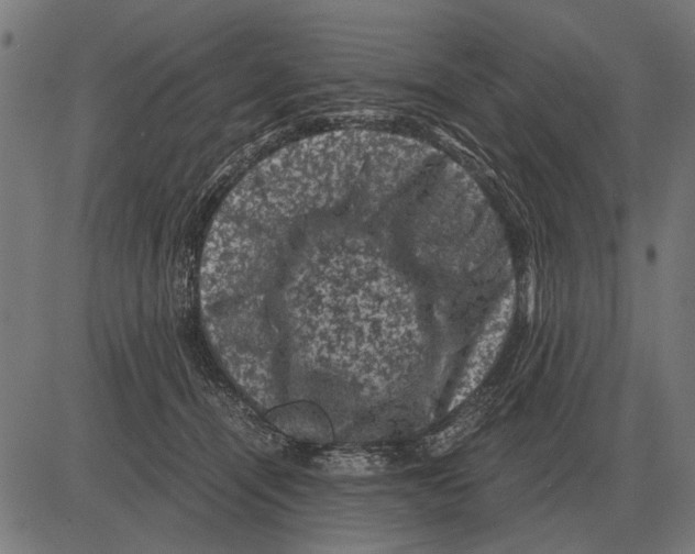 X0000081470464200702021837