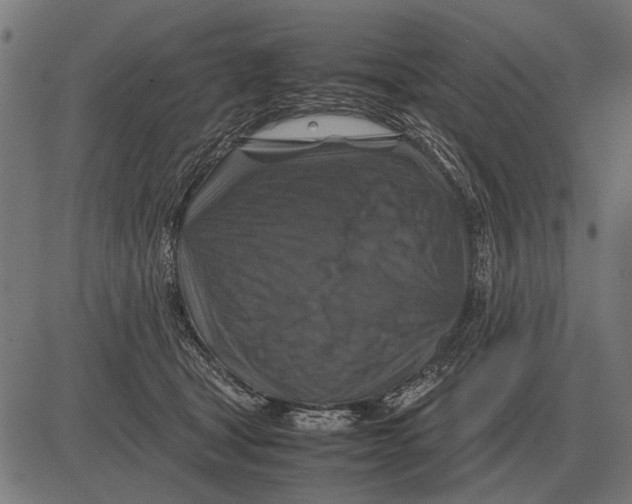 X0000081470465200702021837