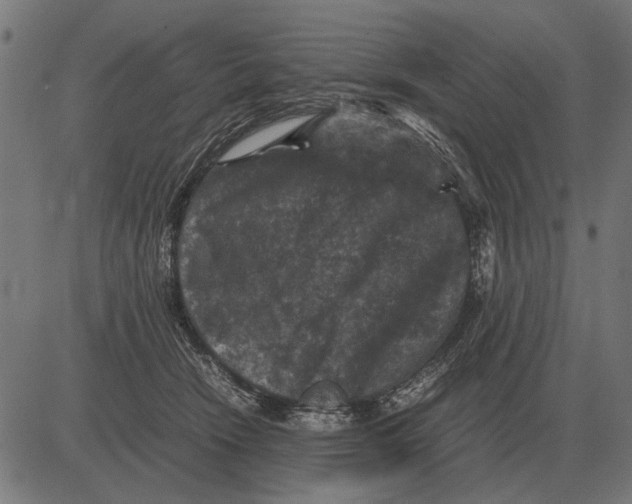 X0000081470466200702021837