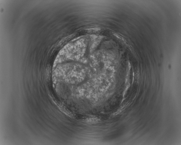 X0000081470468200702021837