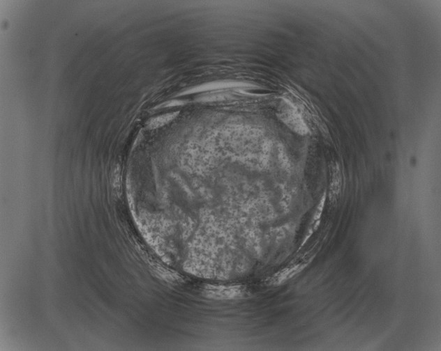 X0000081470469200702021837