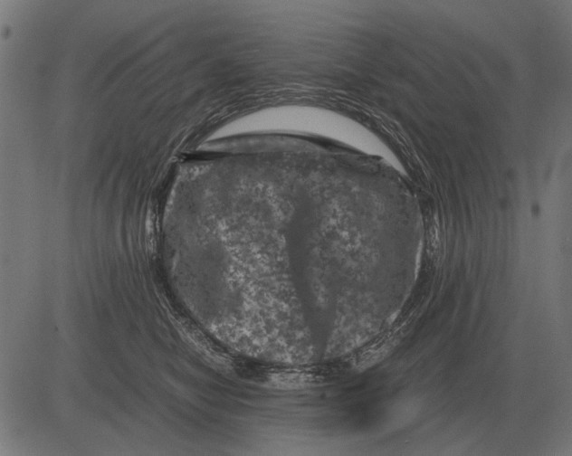 X0000081470470200702021837