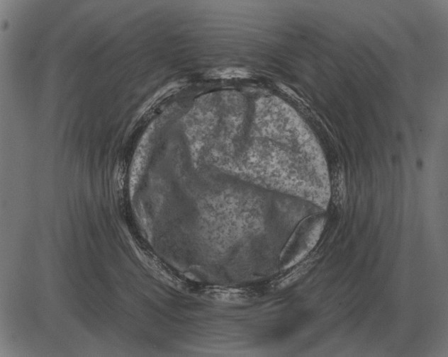 X0000081470472200702021837