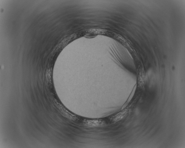 X0000081470473200702021837