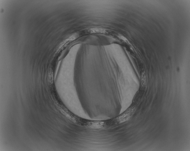 X0000081470474200702021837