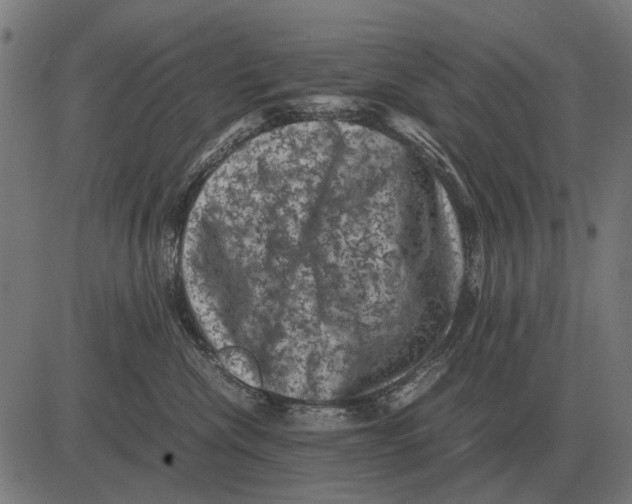 X0000081470476200702021837