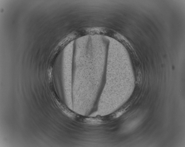 X0000081470477200702021837