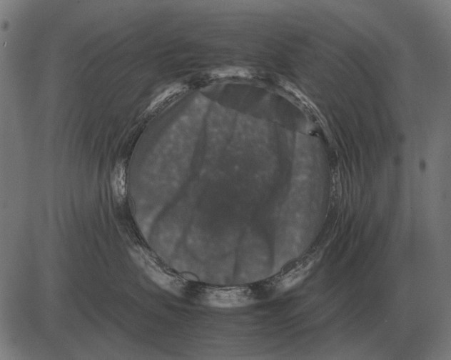 X0000081470479200702021837