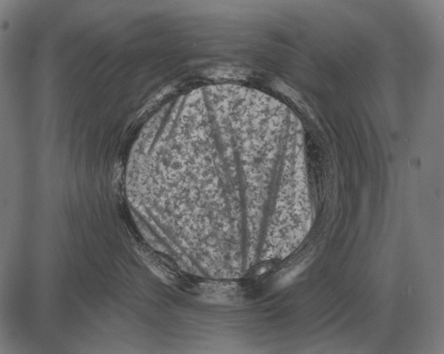 X0000081470480200702021837