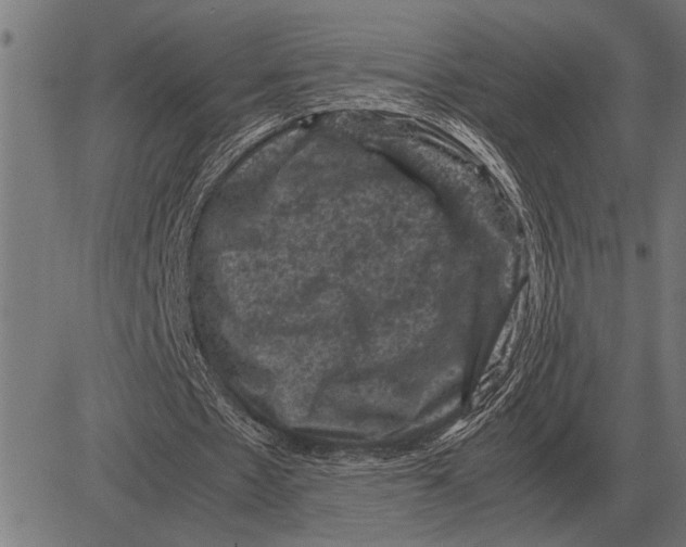 X0000081470481200702021836