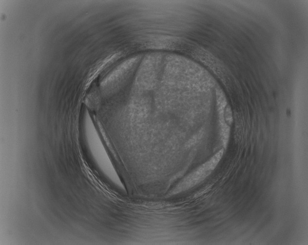 X0000081470482200702021836