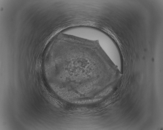 X0000081470483200702021836