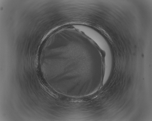 X0000081470484200702021836