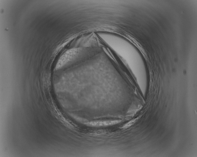 X0000081470485200702021836