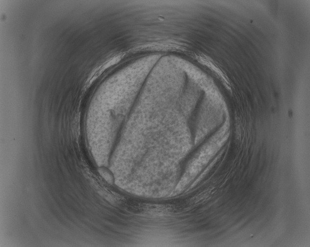 X0000081470486200702021836