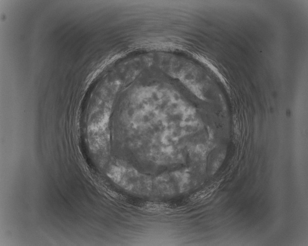 X0000081470487200702021836