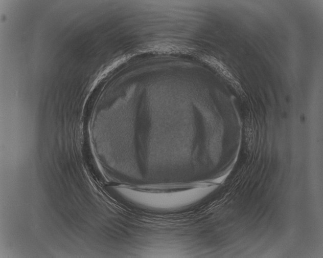 X0000081470488200702021836