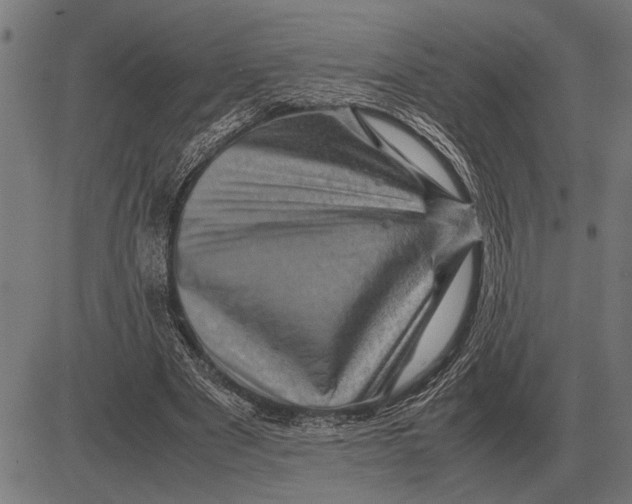 X0000081470489200702021836