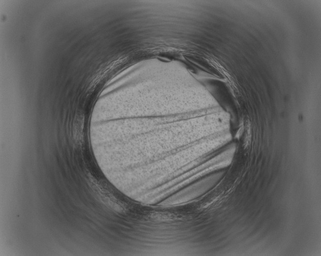 X0000081470490200702021836