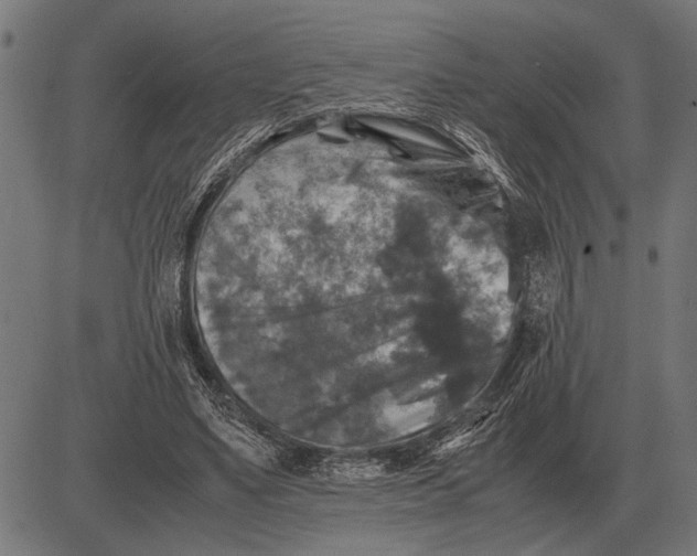 X0000081470491200702021836