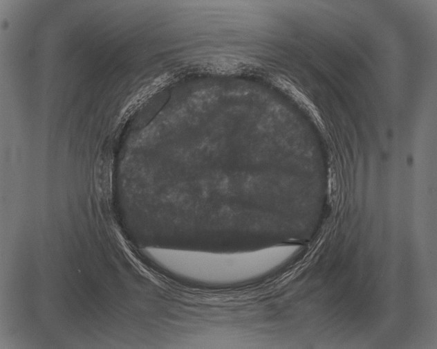 X0000081470493200702021836