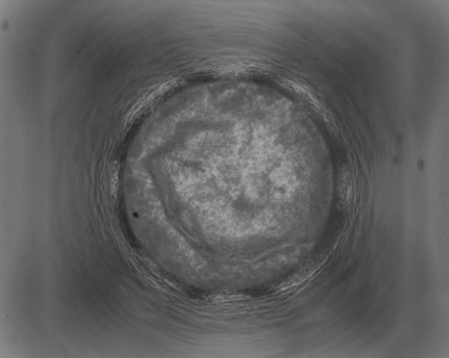 X0000081470495200702021836