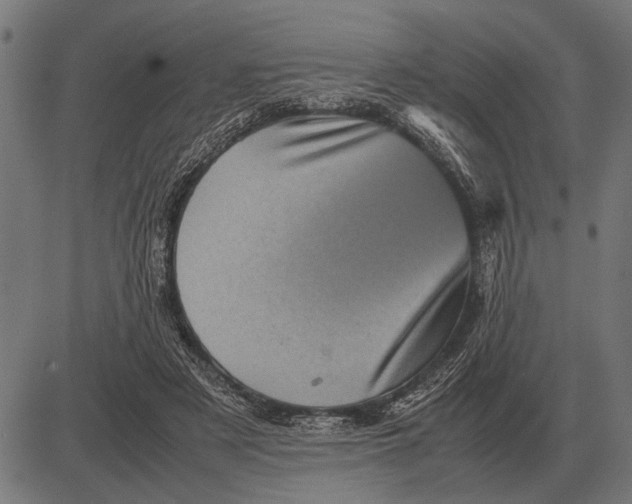 X0000081470497200702021836