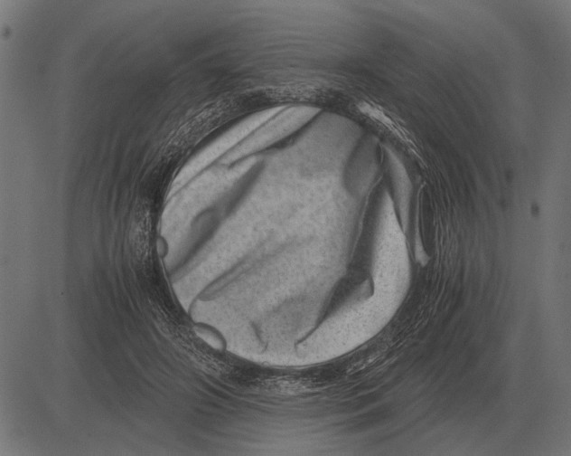 X0000081470498200702021836