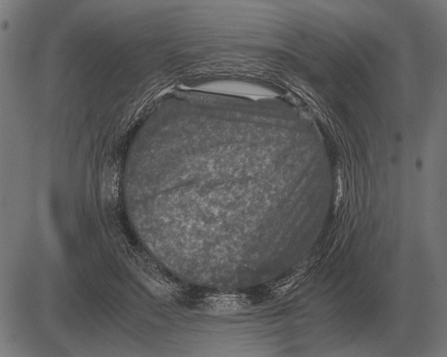 X0000081470499200702021836