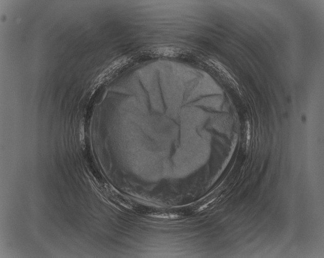 X0000081470500200702021836