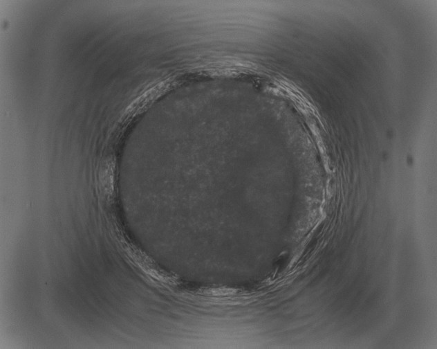 X0000081470501200702021836