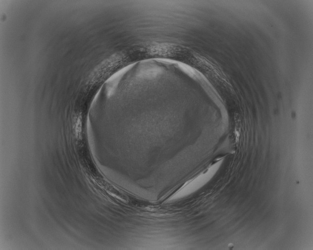 X0000081470502200702021836