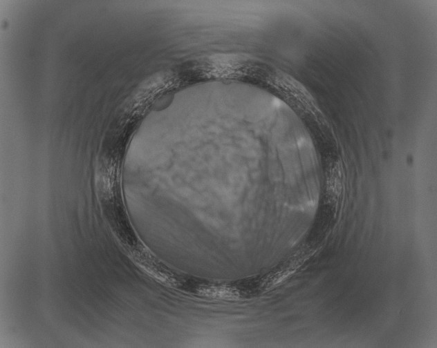 X0000081470503200702021836