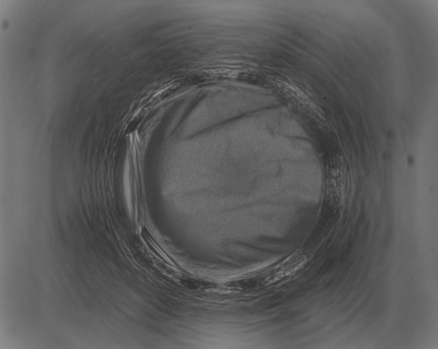 X0000081470504200702021836