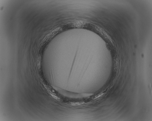 X0000081470505200702021836