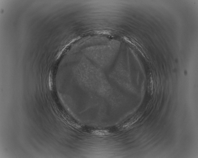 X0000081470508200702021836