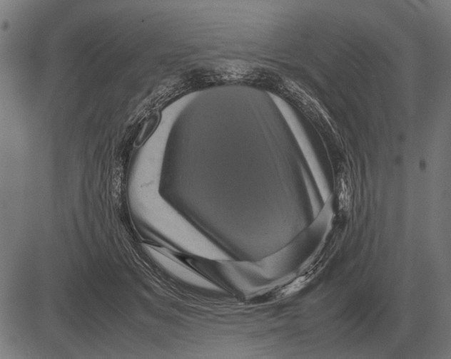 X0000081470509200702021836