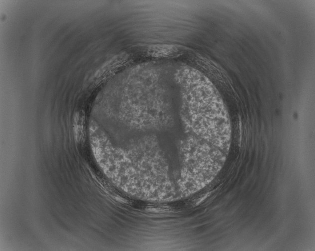 X0000081470510200702021836