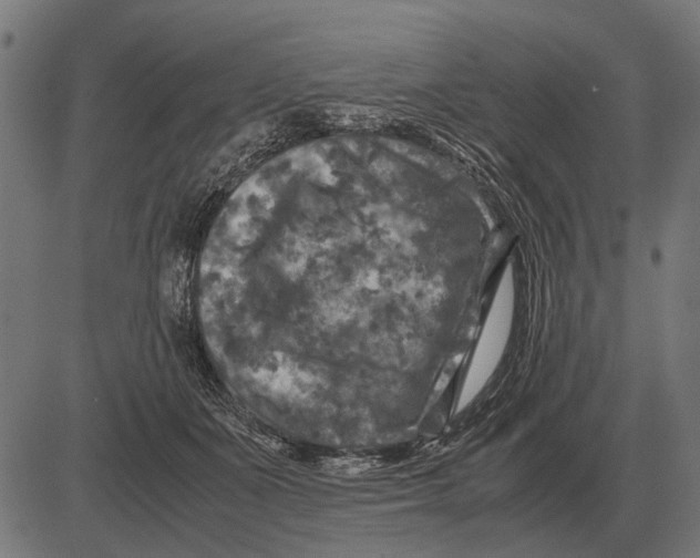 X0000081470511200702021836