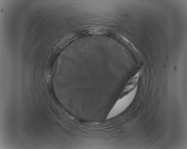 X0000081470513200702021835