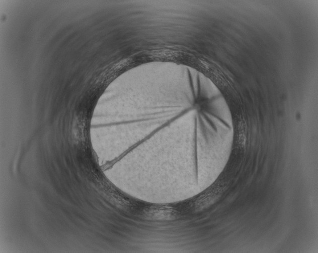 X0000081470514200702021835