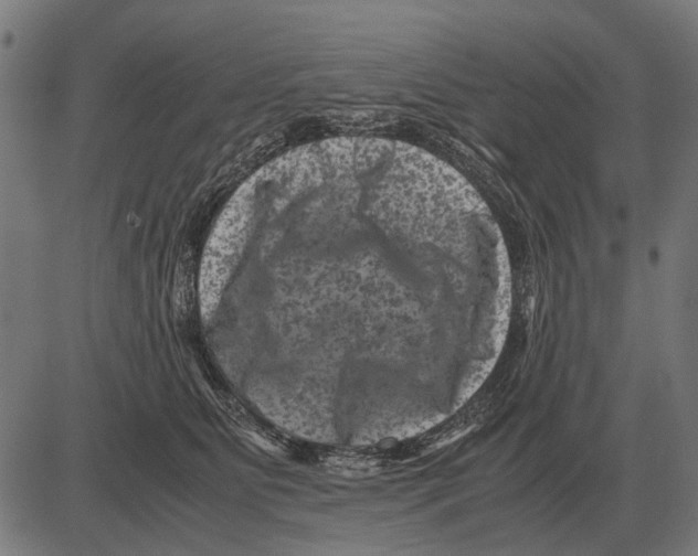 X0000081470515200702021835