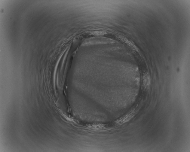 X0000081470517200702021835