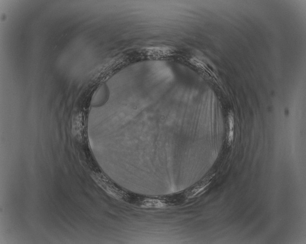 X0000081470519200702021835