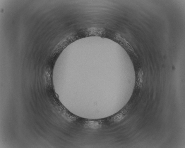 X0000081470522200702021835