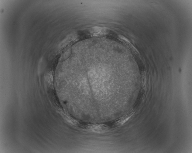 X0000081470523200702021835