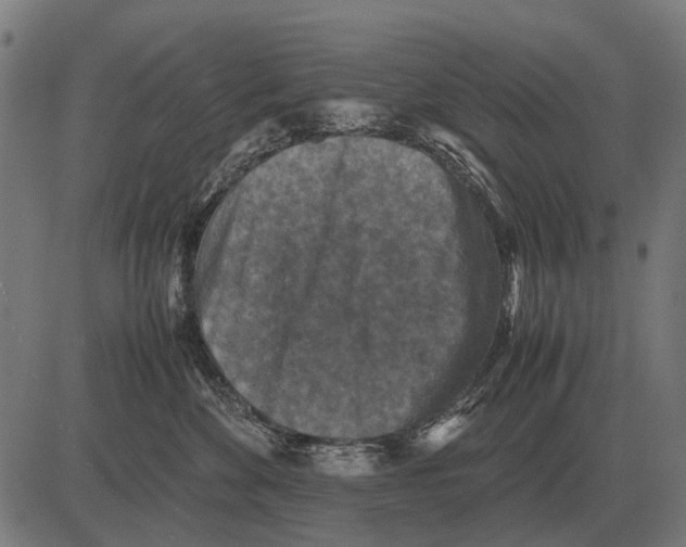 X0000081470524200702021835